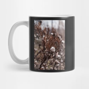 Isopogon Mug